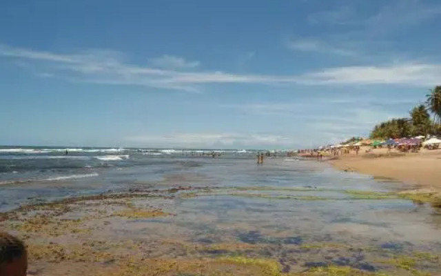 Kit net Carlotta Apartmentos