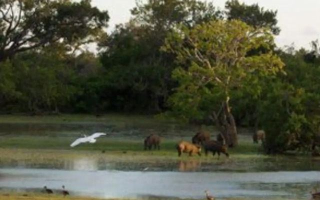 Vanaro Eco Lodge