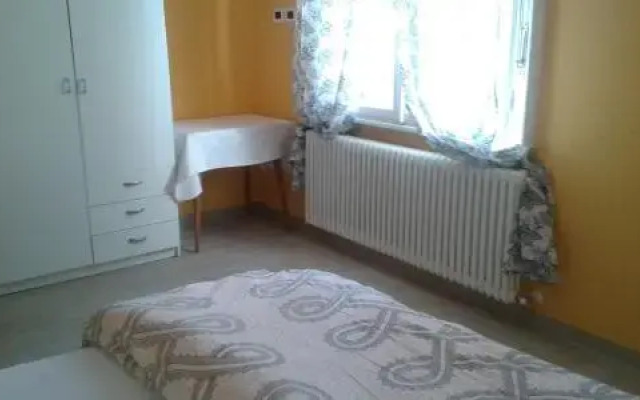 Azalea Codice Cipat 22039-AT-65309