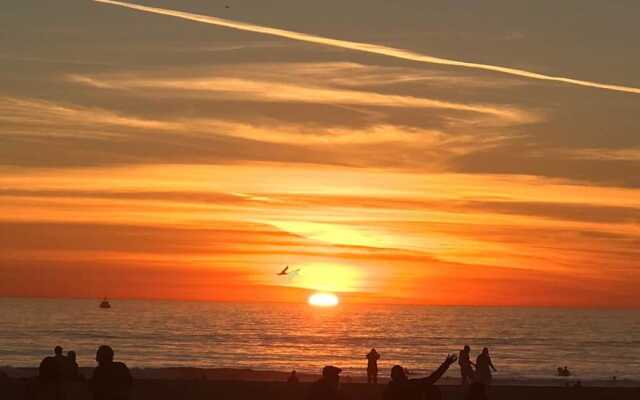 Venice Beach Apartment D - Only 1 Block to Beach