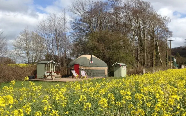 Wye Glamping