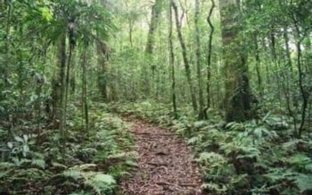 Goomburra Forest Retreat