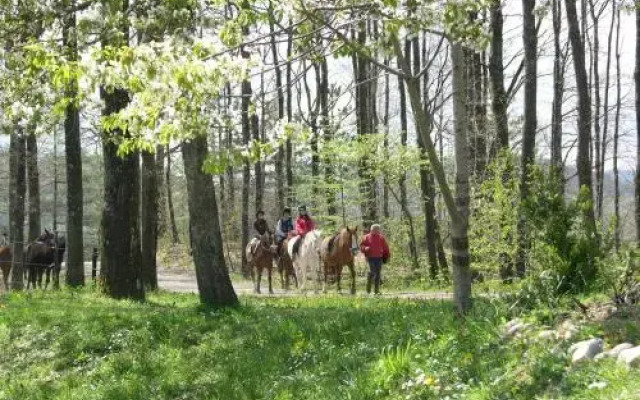 Fattoria Cà Di Gianni
