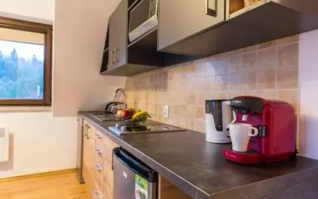 Apartamenty Białka przy stoku z kominkiem