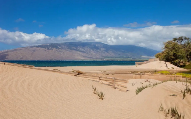 Kihei Bay Surf #110 - Studio Br Condo