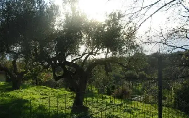 Villa Loremar