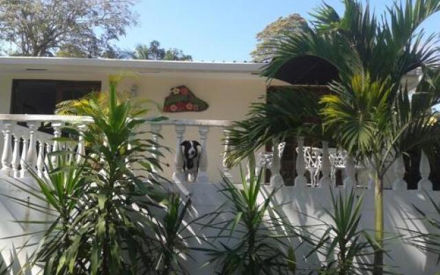 Hibiscus House Bed and Breakfast