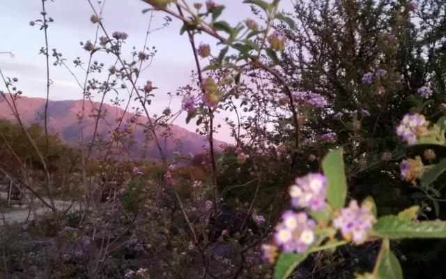 Complejo Cabañas La Aguada