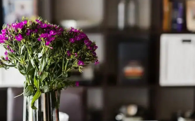 Viste Della Fortuna - Rejuvenate Stays