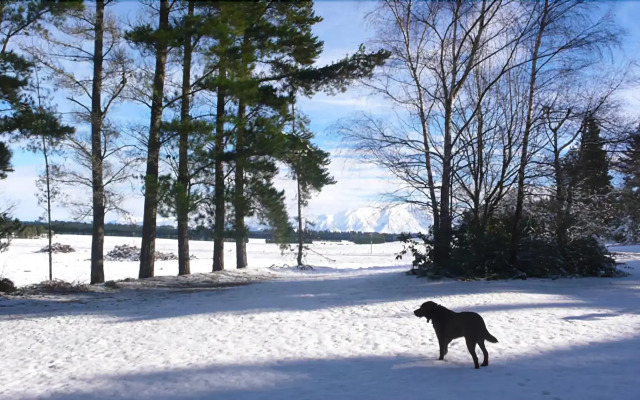 The Stablehand Quarters at Gunyah