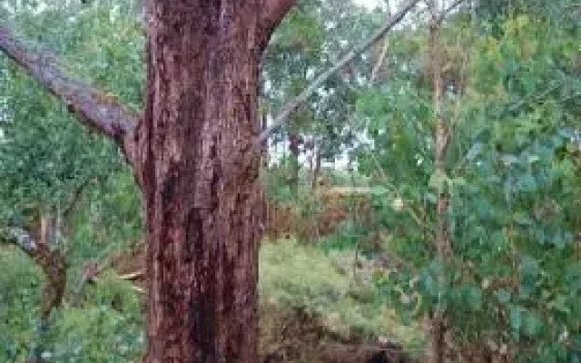 Barrabup Sanctuary BirdHide