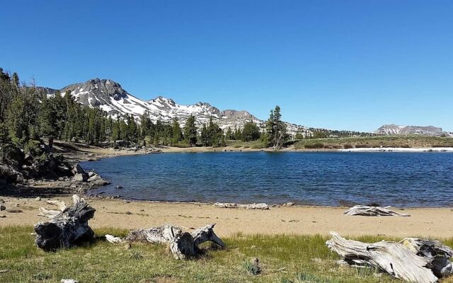 Marriott Grand Res #3167