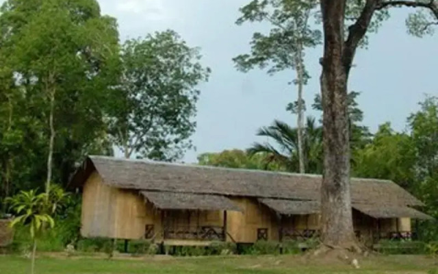 Borneo Proboscis River Lodge