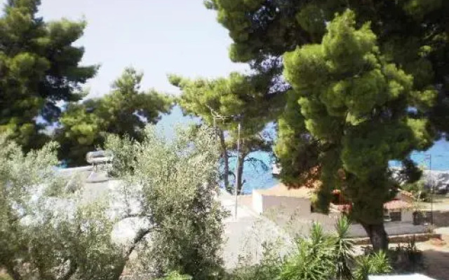 Studios Rosa