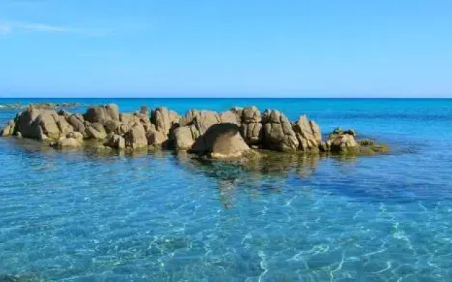 La Ginestra