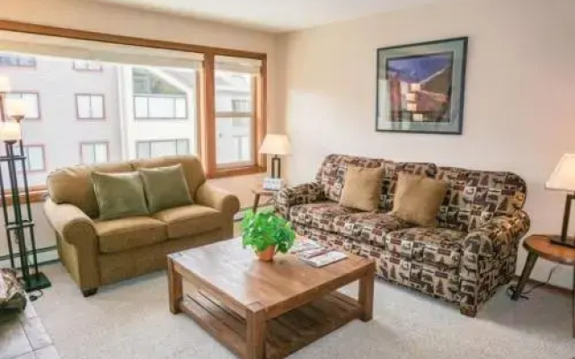 Sun Meadows Condo at Kirkwood 1 bdm - фото 5