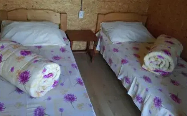 Călăreții lui Țepes