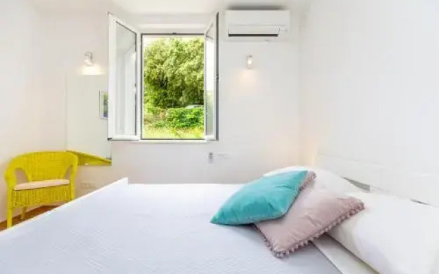 Apartment Kralj