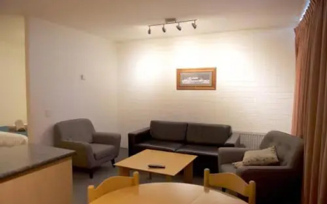 Snow Ski Apartments 24