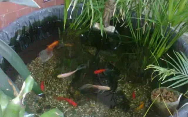 Familia Cuervo Hospedaje