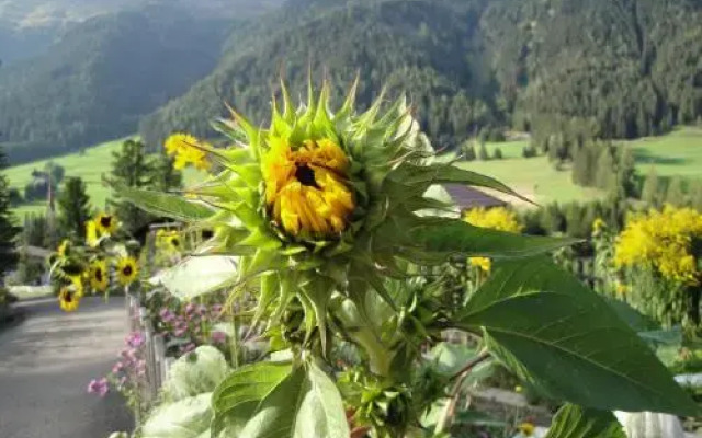 Huterhof