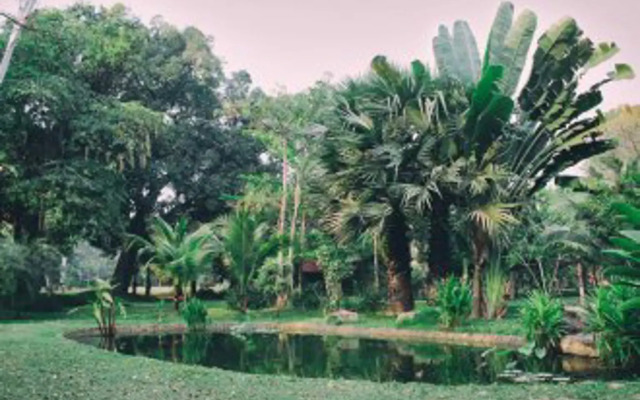 PeaceTree Private Villas