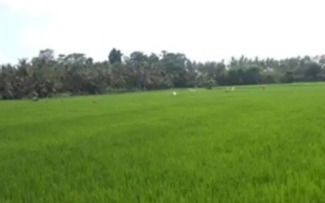 Radhea Ubud House