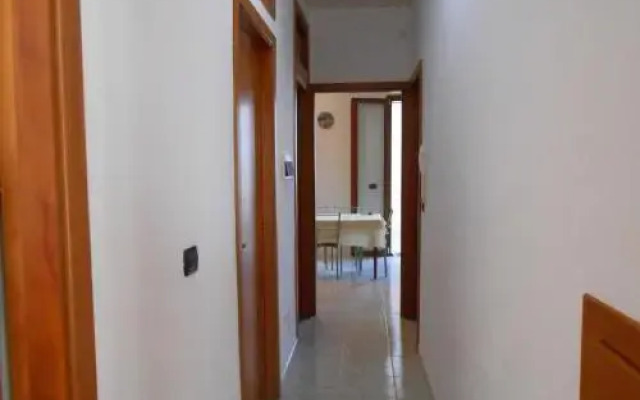 Il Gabbiano