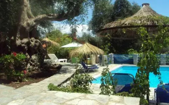 Villa Alkinoos