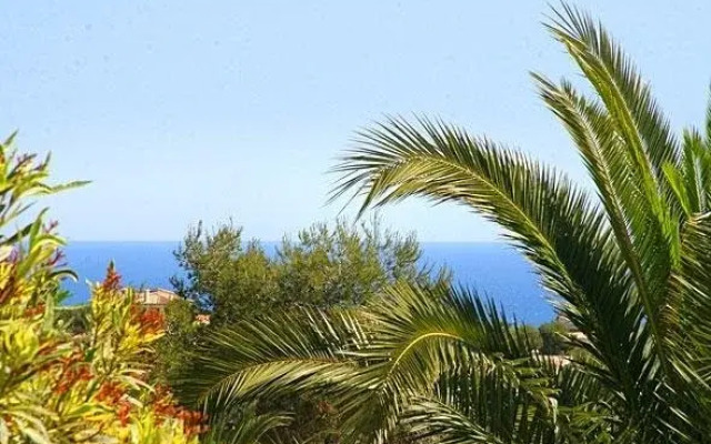 La Gaviota
