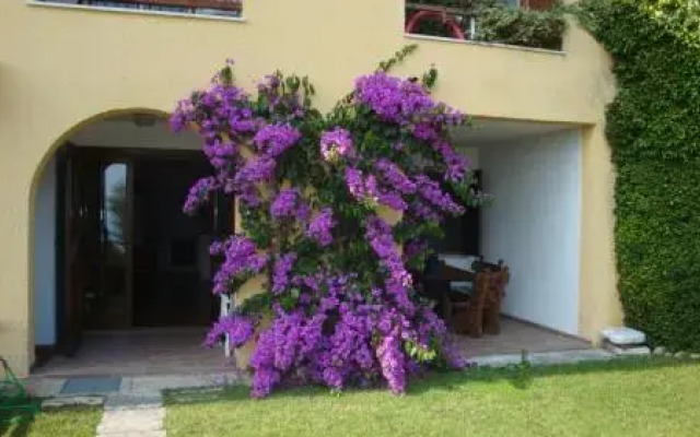 Apartment Bougainvillea