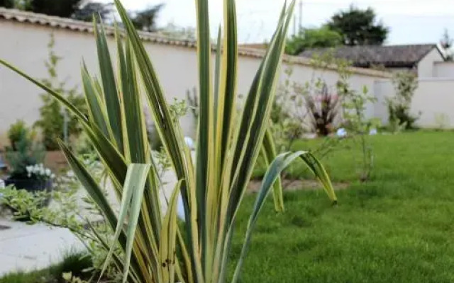 De la Chambre au Jardin