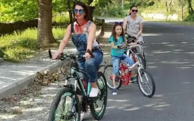 Guest House Borjomi