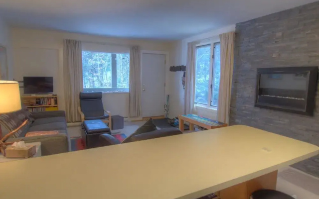 Sugarbush Villager Condo by RedAwning
