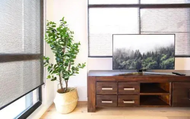 Vibrant inner-city living - Darling Harbour fringe