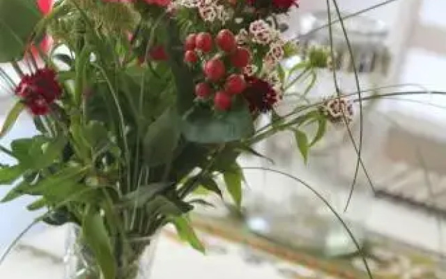 Ferienhaus-Rotdorn-Haus-Sued