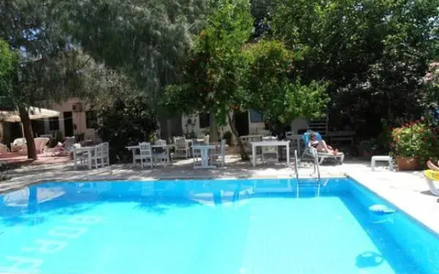 Jenny's House