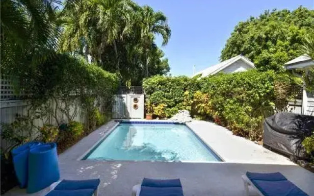 Tropical Dreaming (Home)