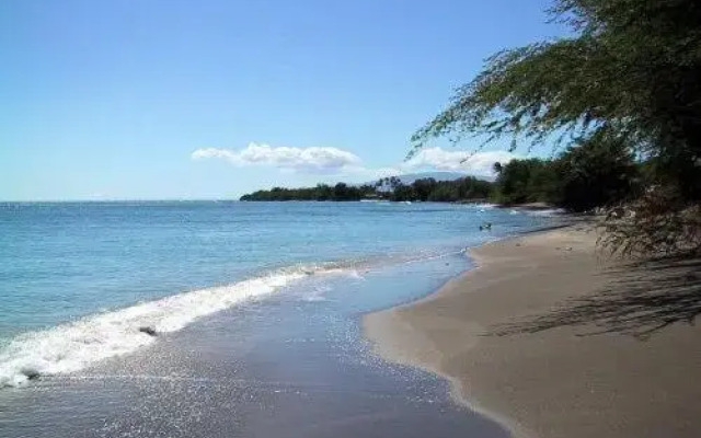 Maui Suncoast - Maui Vista