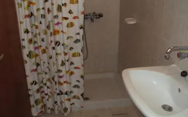 Oasis 2
