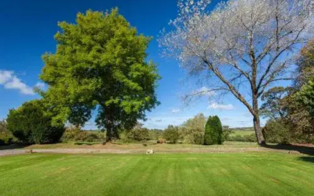 Great Bidlake Manor