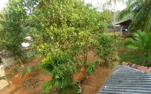 Country House Sachi