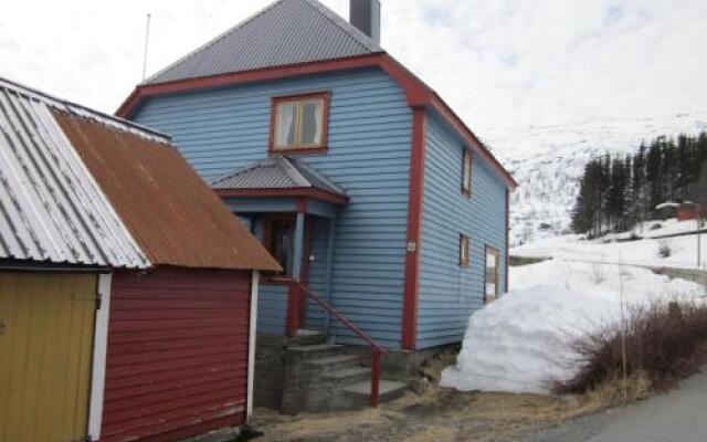 The blue house, Røldal