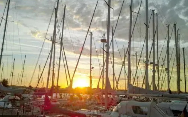 Ferienhaus Rotkehlchen