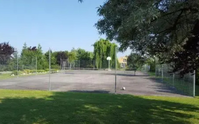 Zorii Zilei