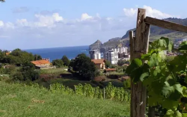 Agroturismo Basarte Baserria