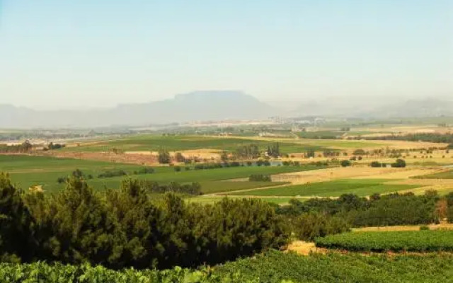 Laibach Vineyards