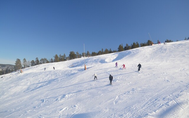 Ski Lodge Gautefall