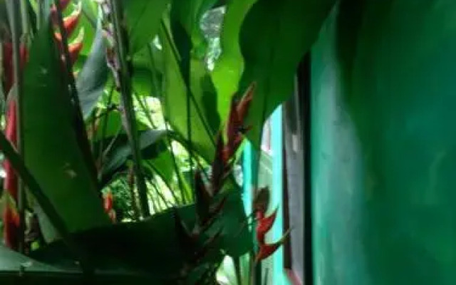 Saladero Eco Lodge