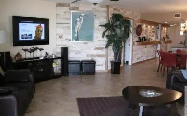 Beach Palms 109